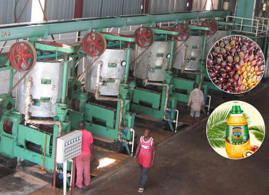 Palm oil extraction plant