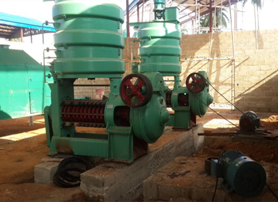 Screw oil press machine for soybean and peanut 