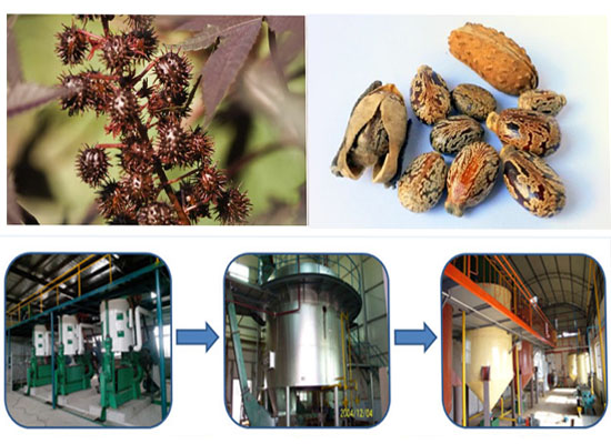 Complete line of castor oil production process