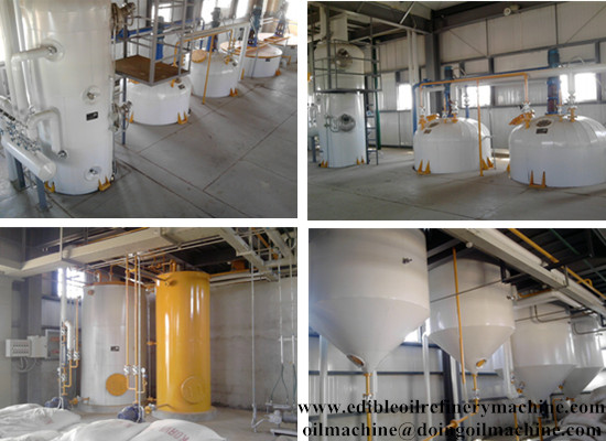 Crude edible oil refining process machinery