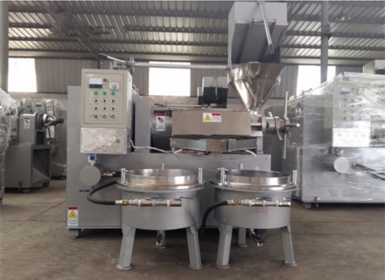 Cold oil press machine