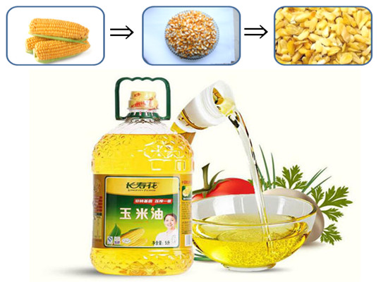 Corn oil production process machinery