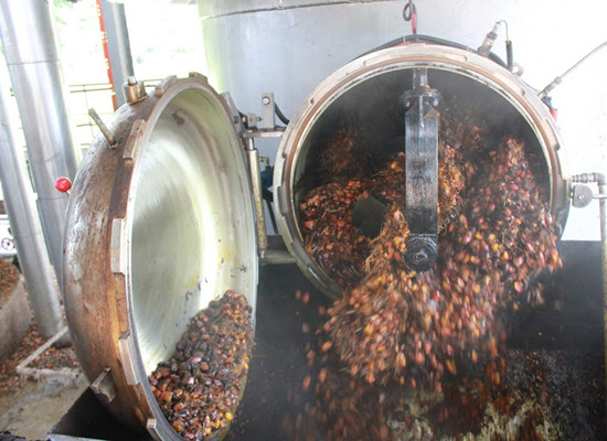 Palm fruit sterilizer machine