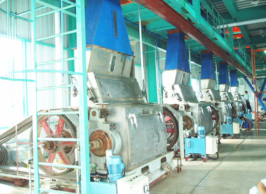 Corn germ pretreatment & pressing machine