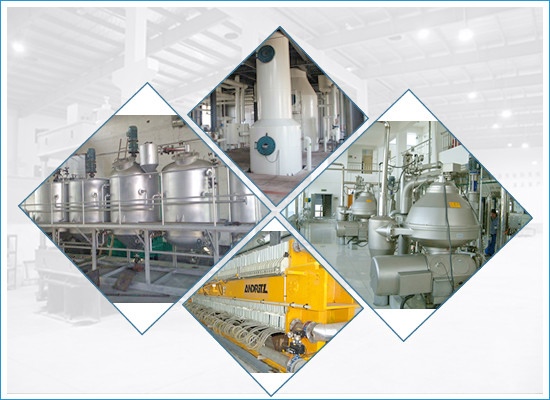 Vegetable oil refining machine