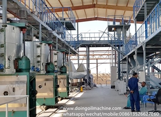 Groundnut oil press production line