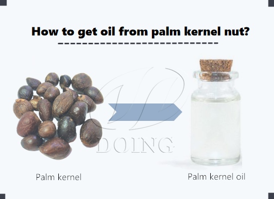 EASIEST AND QUICKEST WAY TO MAKE PALM KERNEL OIL AT HOME(2 WAYS
