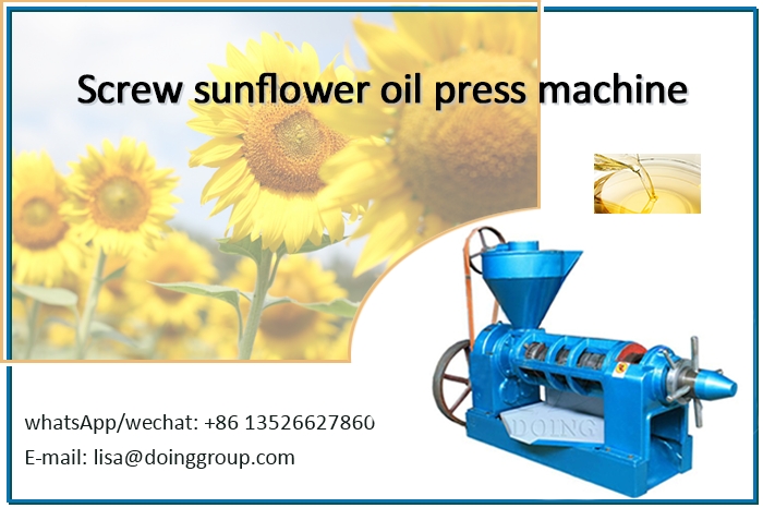 Screw vegetable oil making machine photo