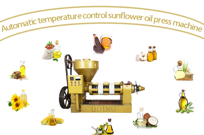 Automatic temperature control vegetable oil making machine photo