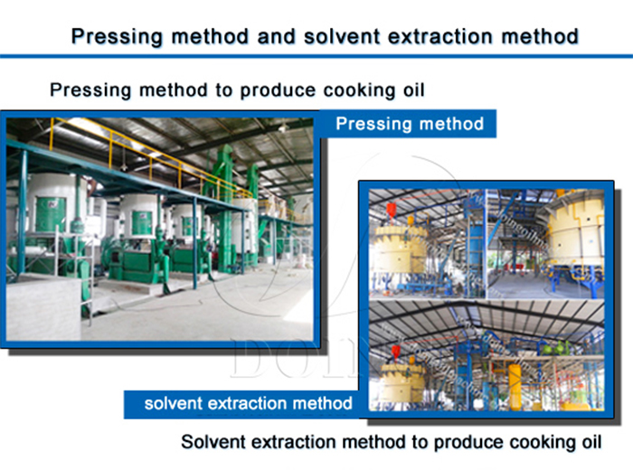 Vegetable oil production process photo