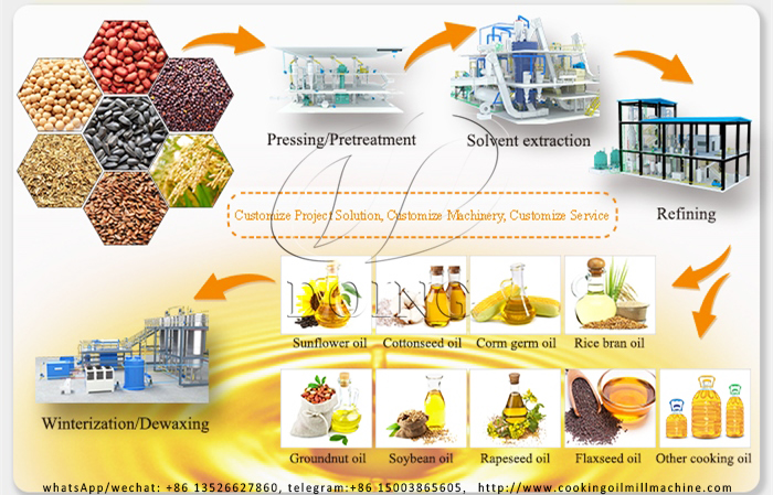 Small scale vegetable oil processing line photo