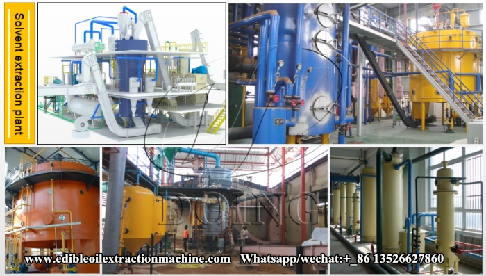 soybean oil solvent extraction.jpg
