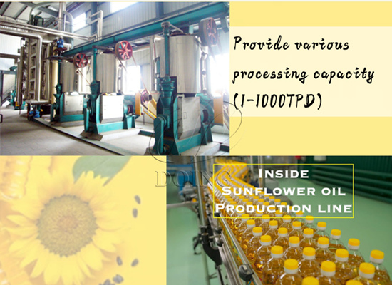 What about the timeline of the entire sunflower oil extraction project?