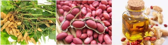groundnuts.jpg