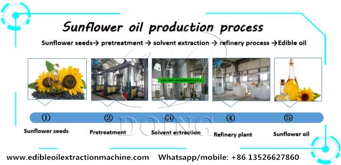 sunflower oil extraction line.jpg