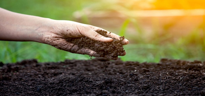 Health soil.jpg