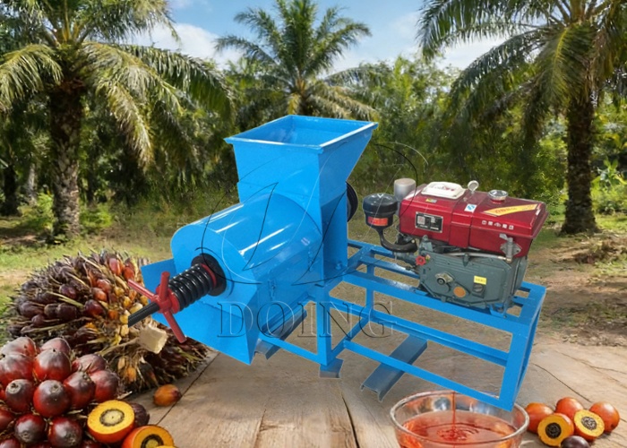 Palm oil expeller machine