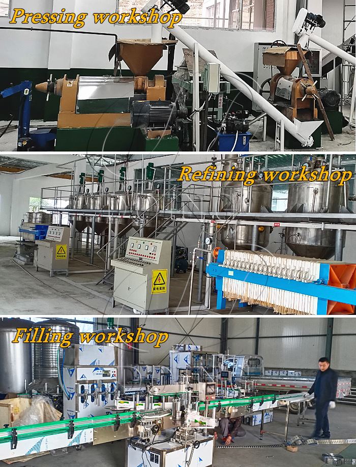 Photos of different cooking oil processing plants