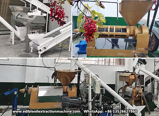 400kg/h mountain tung oil processing plant project in Hubei,China