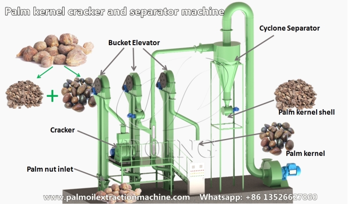 Palm nut cracking and kernel&shell separating machine prototype