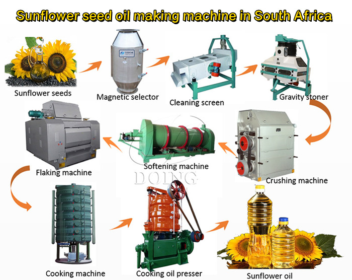 Sunflower seed oil extraction machine in South Africa