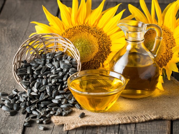 Sunflower seeds is the raw material of sunflower oil processing plant