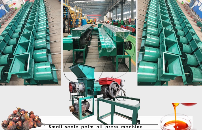 500kg/h palm oil expeller