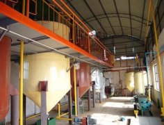 Chile edible oil refinery and winterization plant start production