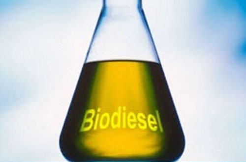Production of biodiesel from soybean