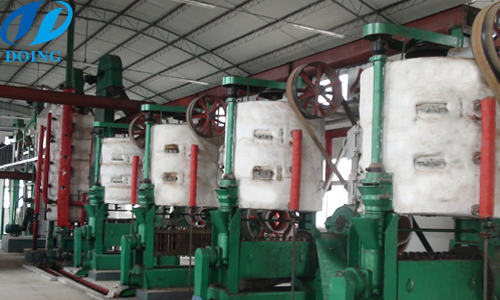 cooking oil pressing machine 