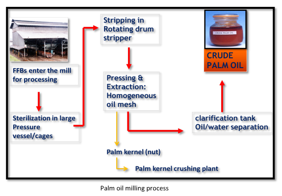 palm oil press process
