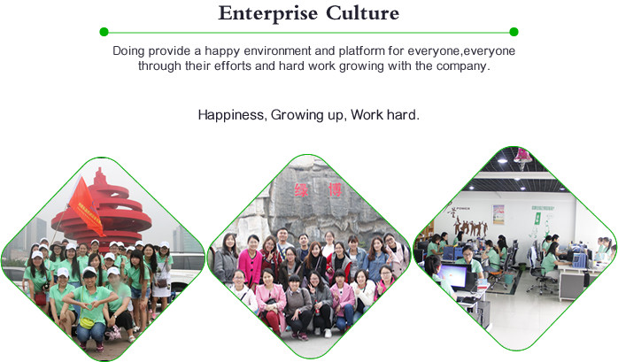 enterprise culture