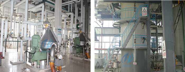 palm oil refinery plant