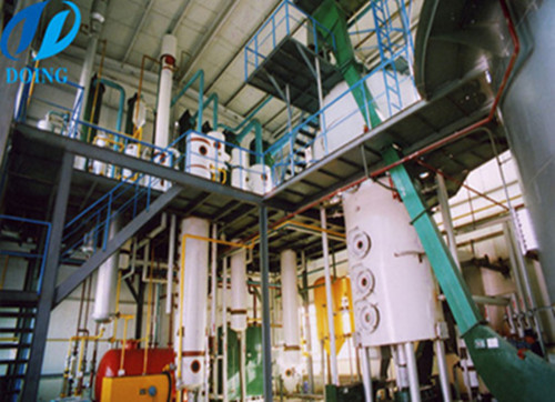 canola oil extraction plant