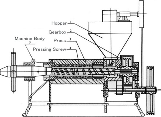 screw oil press machine