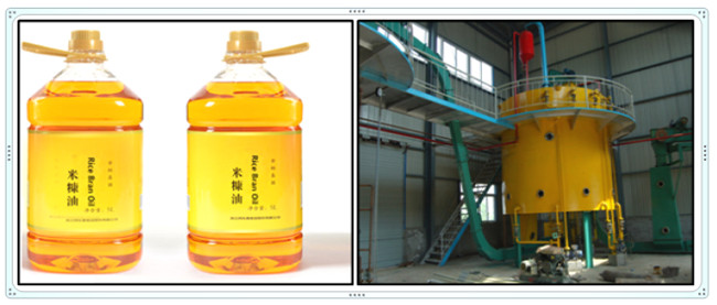 rice bran oil production machine 