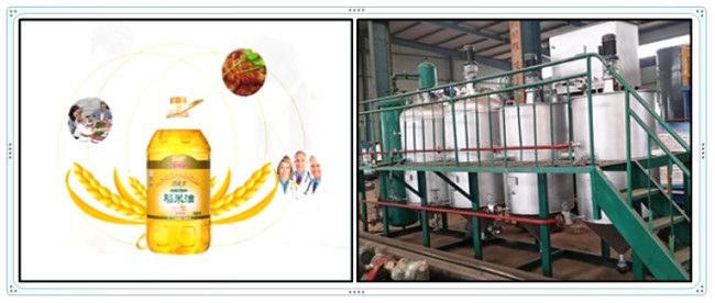 rice bran oil production line 