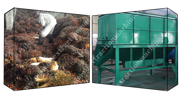 palm oil processing  plant 