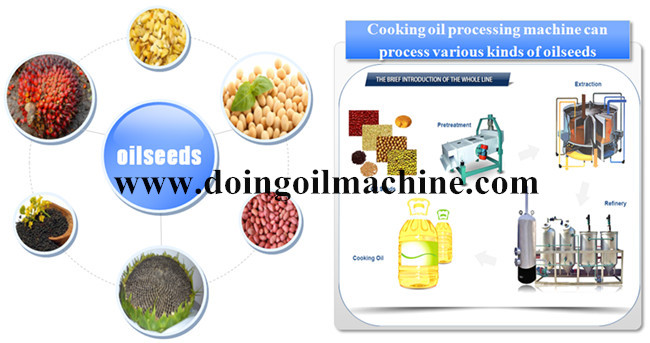 rapeseed oil production process