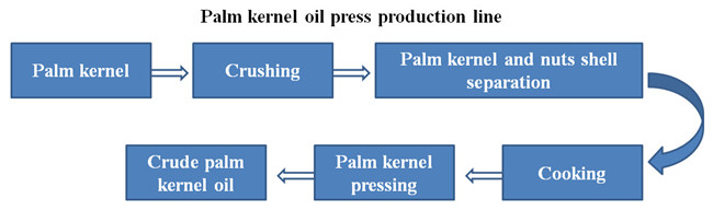 palm kernel oil processing process