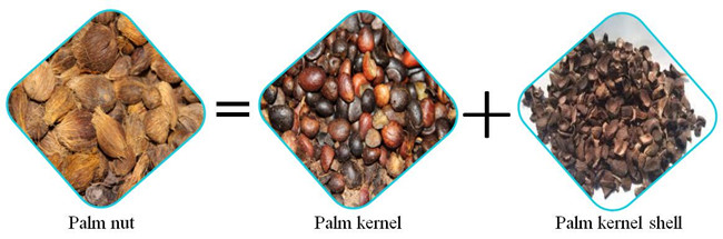 palm kernel cracker and shell separator