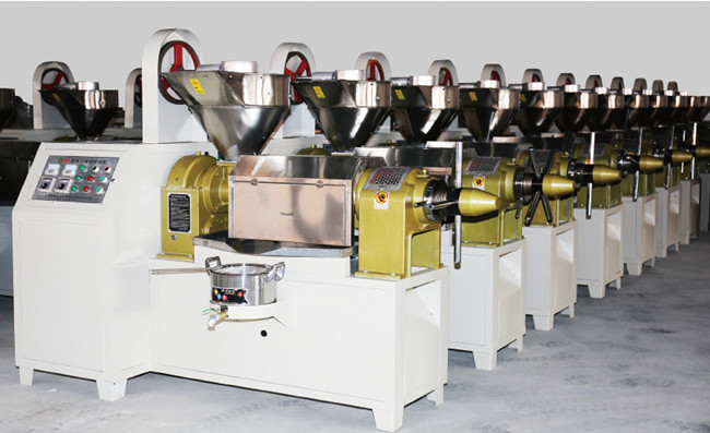 cold press oil machine 