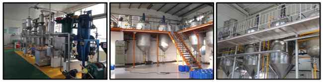 edible oil refinery plant 