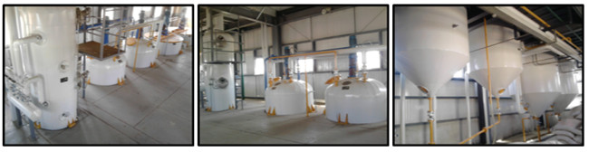 edible oil refinery plant 