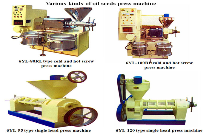 screw oil press machine