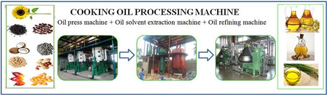 rice bran oil pretreatment and pressing machine 