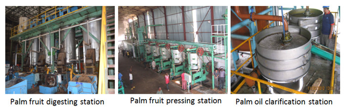 palm oil processing plant 