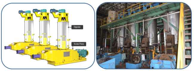 palm oil extraction process machinery