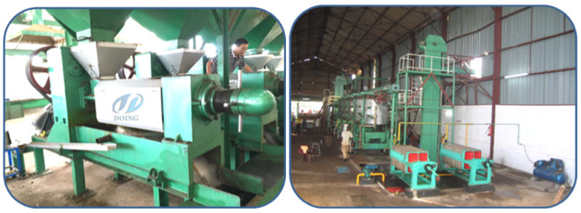 palm oil extraction process