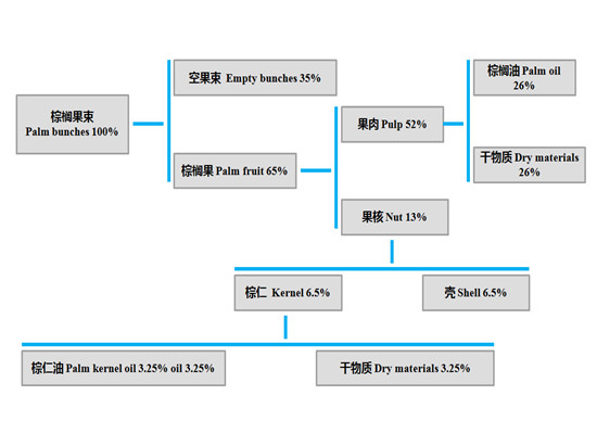 palm oil extraction process machinery